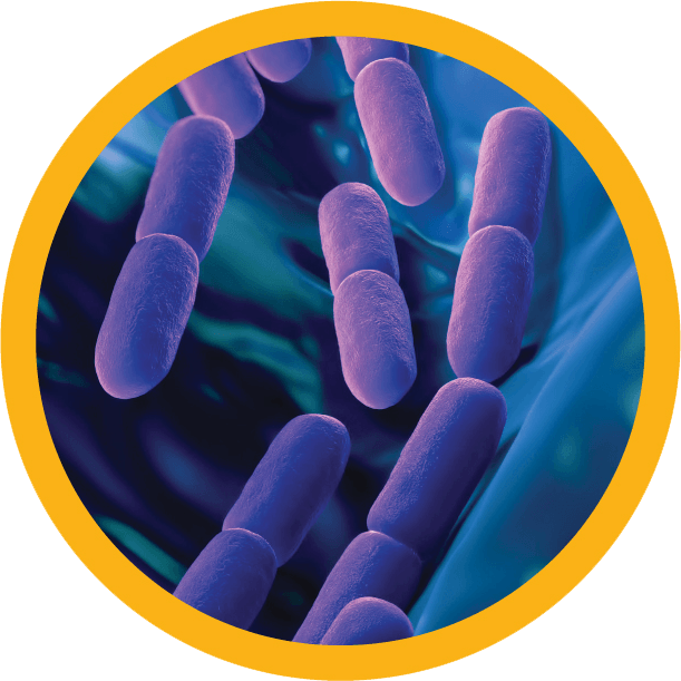 infectious disease, Infectious Disease, Response Biomedical