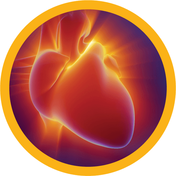 cardiac blood test, Cardiovascular, Response Biomedical
