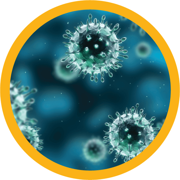 Arbovirus Tests, Arbovirus, Response Biomedical